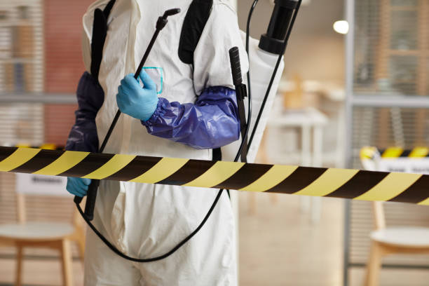 Professional Biohazard technician working in Brownsville, FL